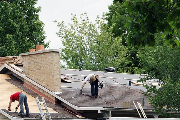 Gutter Installation and Roofing in Hays, MT