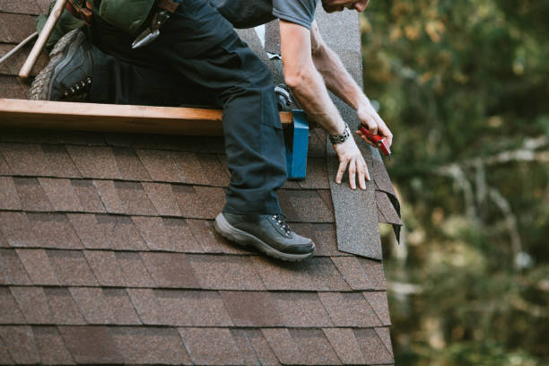 Best New Roof Installation  in Hays, MT
