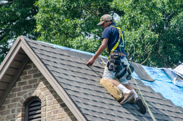 Best New Roof Installation  in Hays, MT
